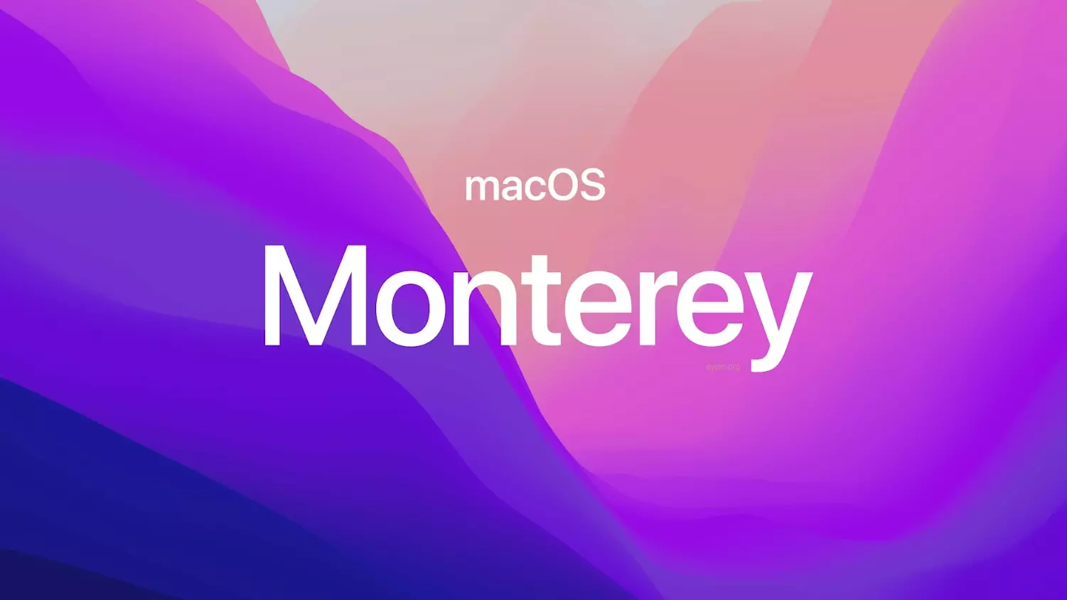 【老吴黑苹果】macOS Monterey 12 Beta 5 (21A5304g)恢复版镜像下载